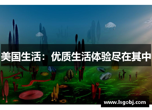 美国生活：优质生活体验尽在其中